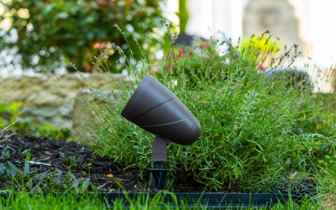 Lush spring 2025 landscaping trends with modern outdoor elements.